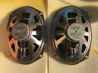 16033930 4184 Ac Delco Pair Of Speakers Nos Free Shipping 036666305821