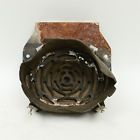 7262198 General Motors Chevy Bel Air Series Speaker Gm Delco