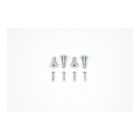 75-258522-1 Firebird Radio Speaker Housing Screw Set Rear Convertible Eckler