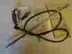986884 Gm Nos 1967 1968 1969 1970 Chevrolet Van 67 68 69 70 Chevy Antenna