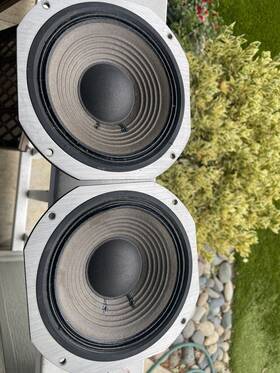 S-x4g Pioneer Woofers