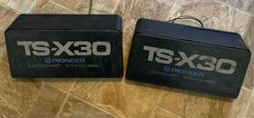 Ts-x30 Pioneer Speakers Untested