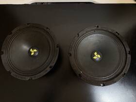 220302mas-8000193 Swat Mas 80 Pro 8 Inch Midrange Speakers Tested