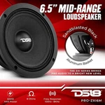 DS18 Pro-x 6.5" Mid-range Car Audio Loudspeaker 600 Watt 8-OHM Midbass PRO-ZXI6M. Fixed Price $39.55.