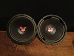 Pair Old-school Rockford Fosgate Punch 10 Inch Woofers, Needs Foam 8OHMWORKS. Fixed Price $249.99.