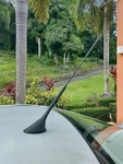 11" Antenna Mast Power Radio Roof Am/fm For Toyota Nissan Dodge Mazda Bmw Vw New. Fixed Price $14.95.