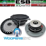 Esb Audio 4.100 4" 100W Rms 4-OHM Car Midrange Speakers New. Fixed Price $349.99.