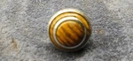 1980-83 Cadillac Eldorado Radio Volume / Tuning Knob 1617147. Fixed Price $14.95.