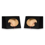 TR69 Pair Of Sealed Car Bass Box Enclosure Cabinets For 6X9 Speakers. Fixed Price $41.99.