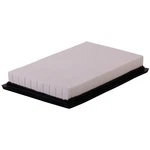 Parts Plus AF1129. Fixed Price $23.99.