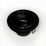 Skar 10 Inch Subwoofer 1,000 Watts. Fixed Price $120.00.