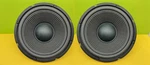 10" Pioneer 8 Ohm (qty 2 Woofers). Fixed Price $72.00.