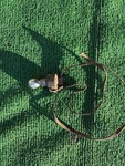 1955 1956 Ford Rear Speaker Switch Crown Victoria Fairlane. Fixed Price $90.00.