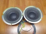 2X Lot 6" Bose Subwoofers / 111791-K Set Pair = Working Lifestyle. Fixed Price $48.95.